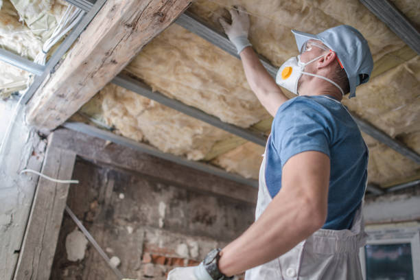 Professional Insulation Contractor in MI