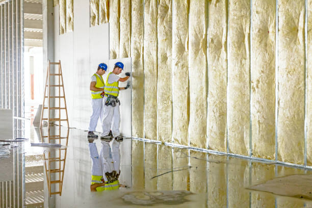 Best Insulation for Specific Applications in Centreville, MI